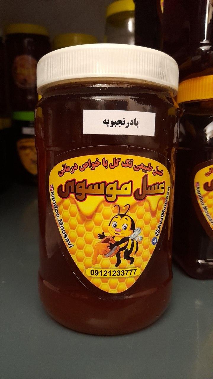عکس عسل موسوی