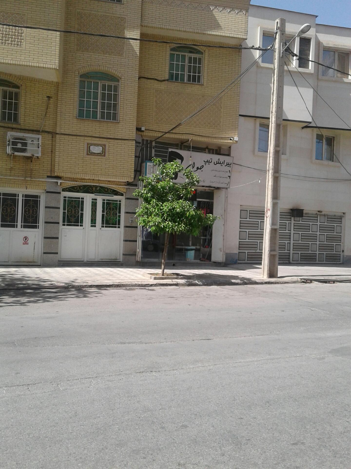 عکس پیرایش تیپ جوان