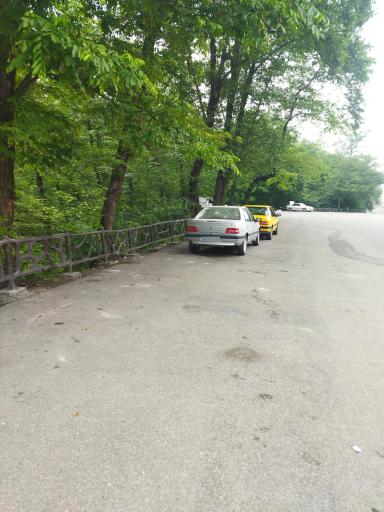 عکس پارک جنگلی ناهارخوران