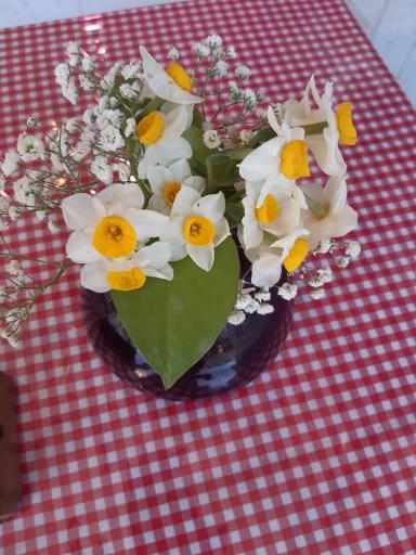 عکس کافه تنجه