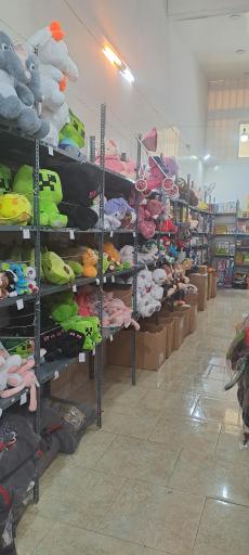 عکس پخش اسباب بازی ، بازی فکری و عروسک دیزنی
