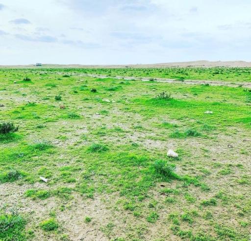 عکس غزاویه بزرگ