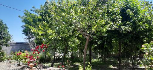 عکس اقامتگاه بومگردی آرامان