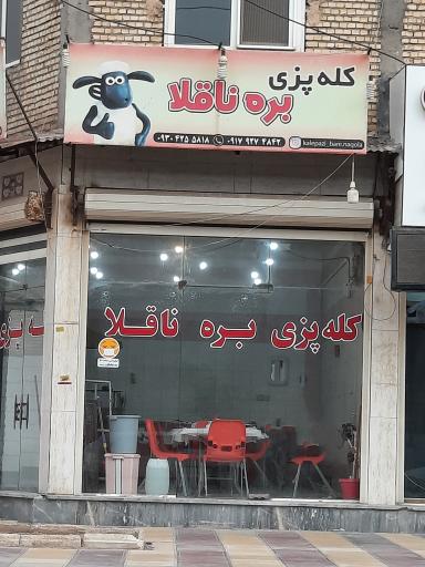 عکس کله پزی بره ناقلا 