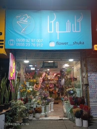 عکس گل شوکا 