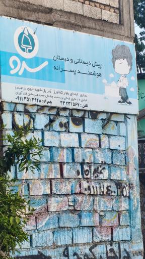 عکس دبستان هوشمند پسرانه سرو