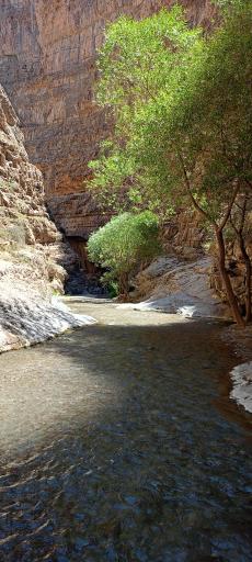 عکس دره شمخال