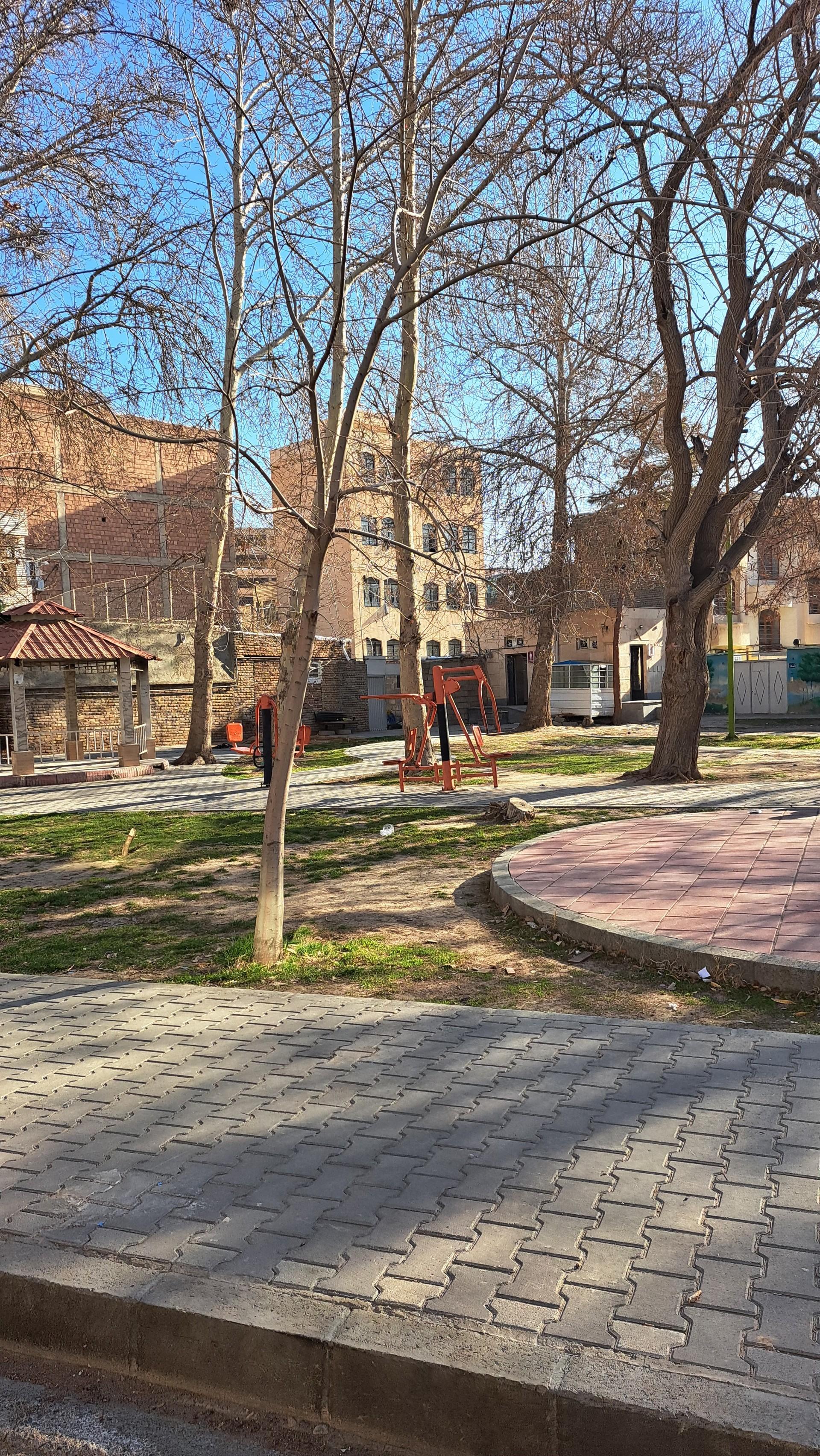 عکس فضای سبز