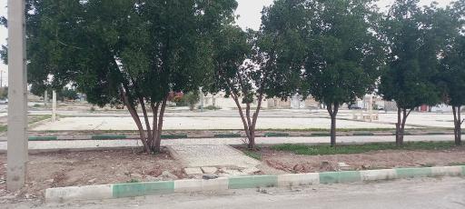 عکس پارک محله و زمین بازی