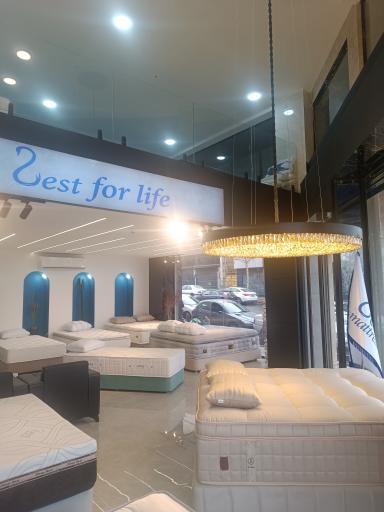 عکس نمایندگی تشک زست