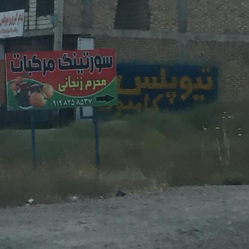 عکس سورتینگ مرکبات محرم زنجانی
