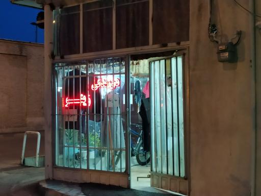 عکس دوزندگی زینو