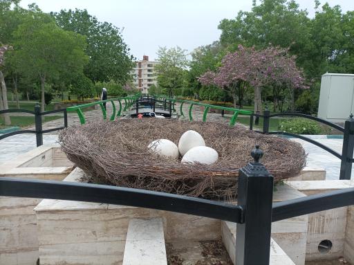 عکس بوستان صادقیه