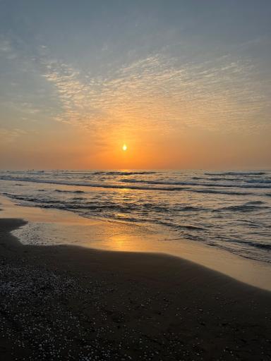 ساحل محمود آباد