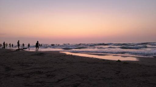 ساحل محمود آباد