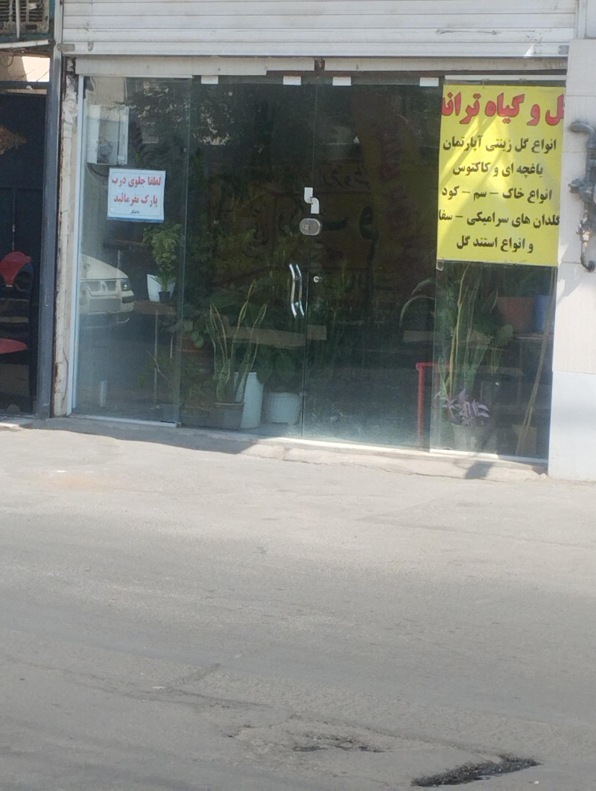 عکس گل فروشی ترانه