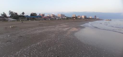 عکس ساحل محمود آباد