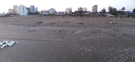 عکس ساحل محمود آباد