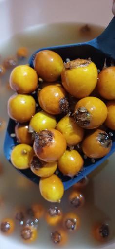 عکس محصولات خانگی علیپور 