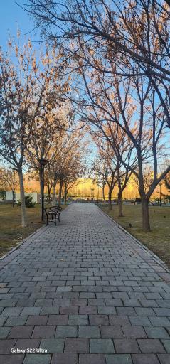 عکس بوستان صادقیه