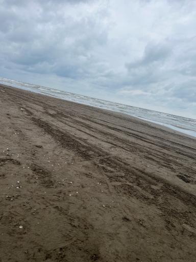 عکس ساحل محمود آباد