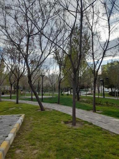 عکس بوستان صادقیه