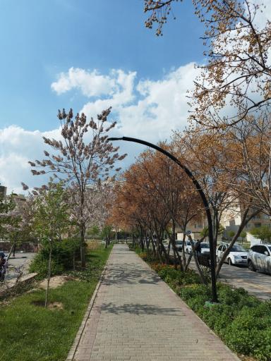بوستان صادقیه