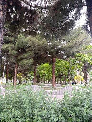 عکس بوستان شهدای گمنام
