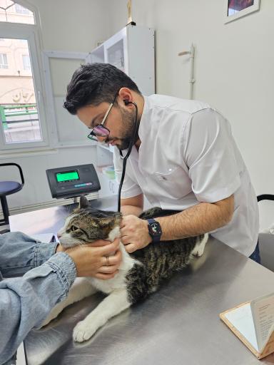 عکس کلینیک تخصصی دامپزشکی نیک