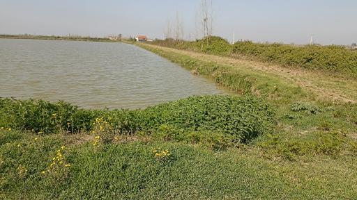 عکس ورودی آبندان روستای طبقده