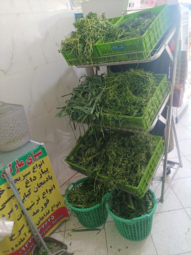 عکس سبزی مریم بانو