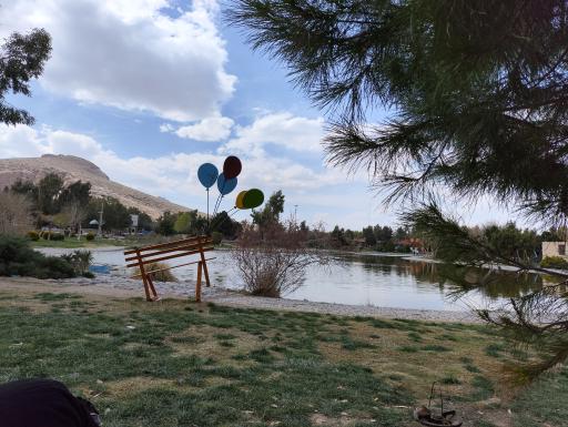 عکس دریاچه زیتون