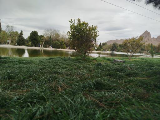 عکس دریاچه زیتون