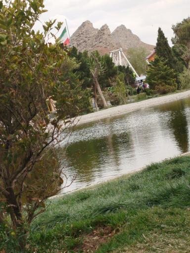 عکس دریاچه زیتون