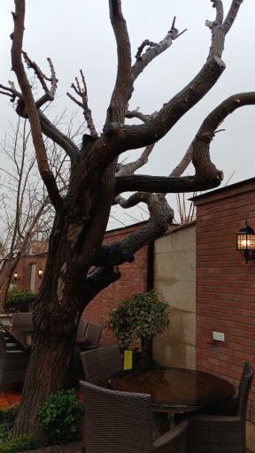 عکس لرد گاردن