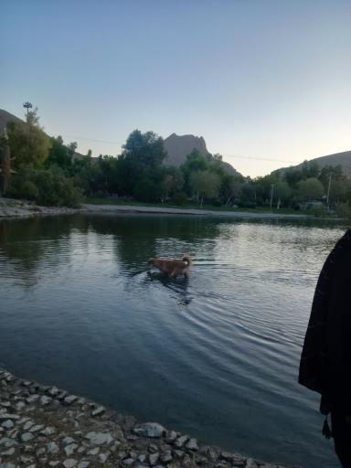 عکس دریاچه زیتون