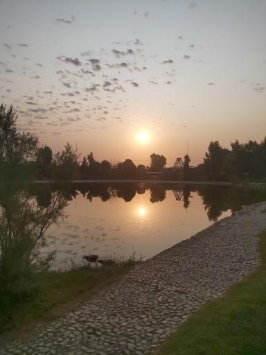 عکس دریاچه زیتون