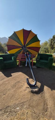 عکس دریاچه زیتون