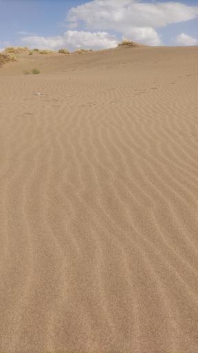 عکس کویر شوش قوم  توریستی تفریحی (شوش قوم مقصودلو، هریس)