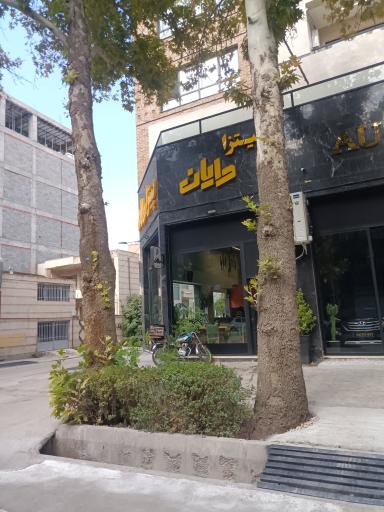 عکس پیتزا و ساندویچ و سوخاری دایان