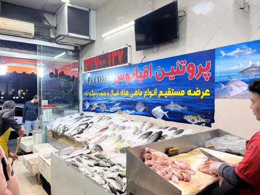 عکس پروتئین اقیانوس