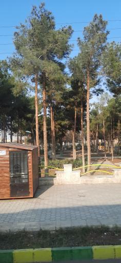 عکس پارک نرگس