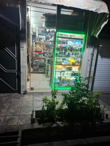 عکس خرازی رعنا