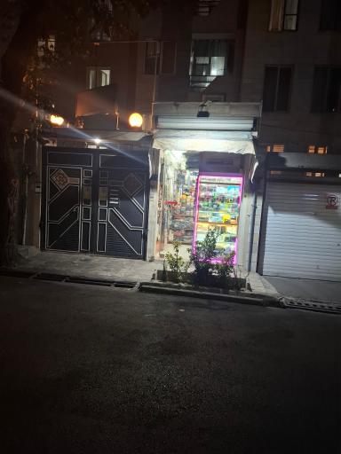 عکس خرازی رعنا
