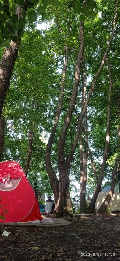 عکس پلاژ ساحل لیدو