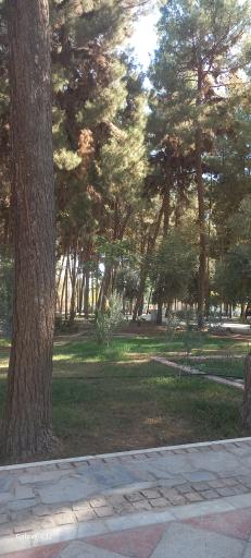 عکس بوستان قدس