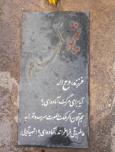 عکس قطعه 40 شهدای گمنام