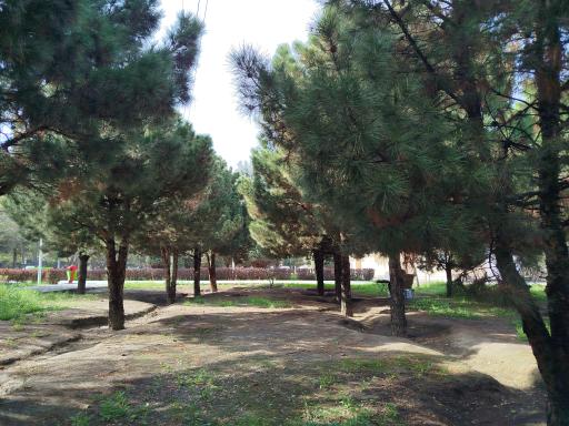 عکس بوستان شاهد