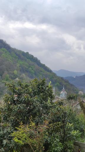 عکس امامزاده سید ابو جعفر ابیض