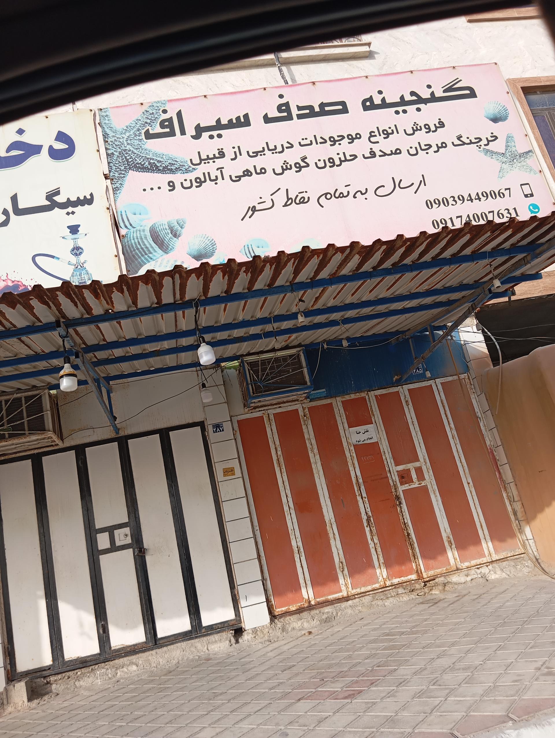 عکس فروش انواع موجودات دریایی گنجینه صدف سیراف